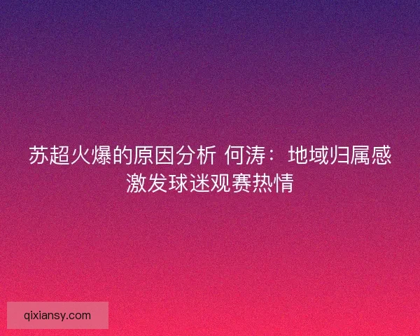 苏超火爆的原因分析 何涛：地域归属感激发球迷观赛热情